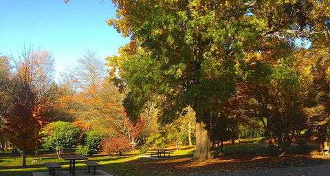 Eastern Dandenong Ranges Visitor Information Centre - New South Wales Tourism  1