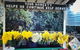 Eastern Dandenong Ranges Visitor Information Centre - thumb 6