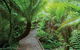 Eastern Dandenong Ranges Visitor Information Centre - thumb 7
