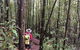Eastern Dandenong Ranges Visitor Information Centre - thumb 12