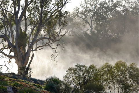 River Shack Rentals - Living The Dream - New South Wales Tourism  57