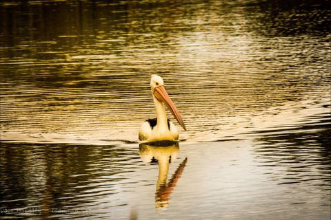 River Shack Rentals - Living The Dream - New South Wales Tourism  55