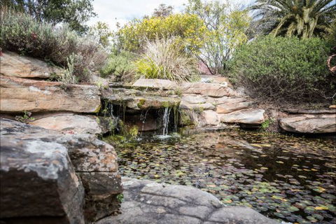 River Shack Rentals - Living The Dream - New South Wales Tourism  35