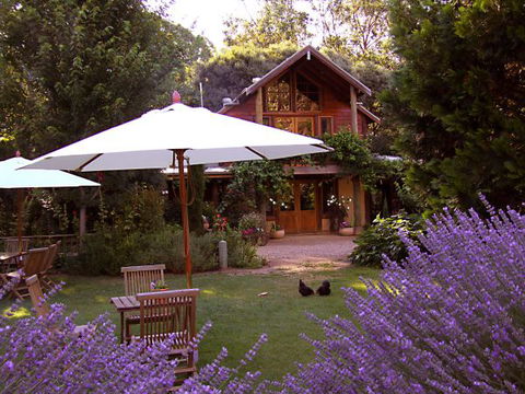 Lavender Hue - New South Wales Tourism  0