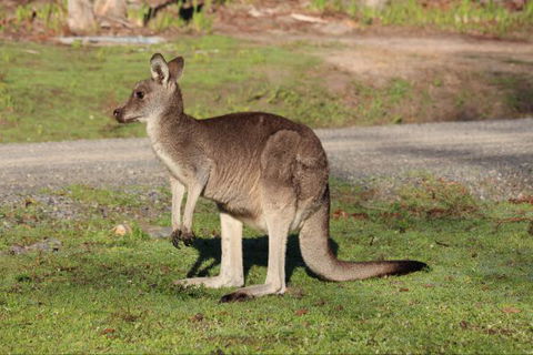 Mackey's Peak Villas - New South Wales Tourism  6