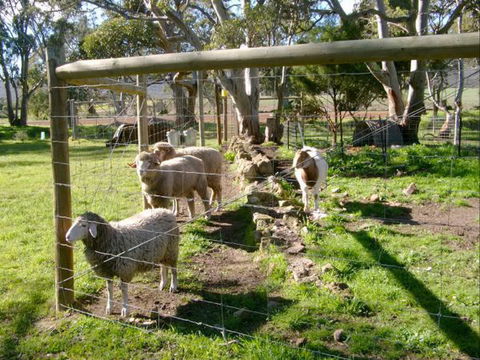 Spalding Lodge Unit 16 - New South Wales Tourism  57