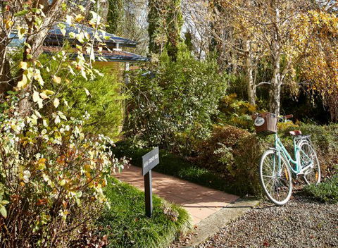 Pizzini's Vineyard Guesthouse - New South Wales Tourism  5