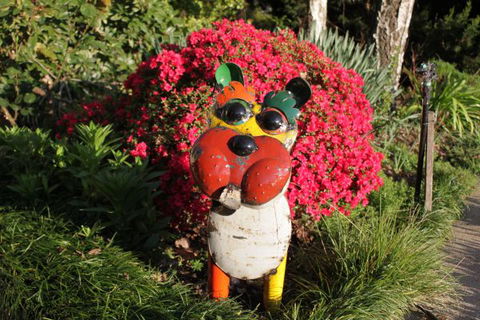 Pizzini's Vineyard Guesthouse - New South Wales Tourism  7