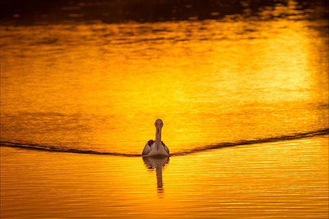 River Shack Rentals - Living The Dream - New South Wales Tourism  0