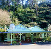 Tarra Valley Caravan Park - New South Wales Tourism 