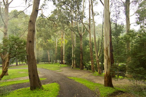 Tarra Valley Caravan Park - New South Wales Tourism  6