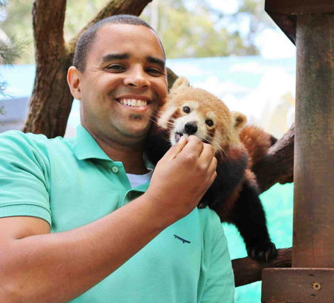 Billabong Koala And Wildlife Park - New South Wales Tourism  3