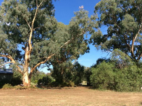 Balcraggon Accommodation - New South Wales Tourism  3