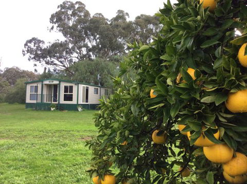 Balcraggon Accommodation - New South Wales Tourism  9