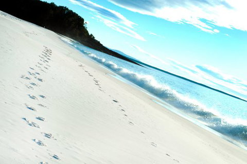 Seaglass - New South Wales Tourism  35