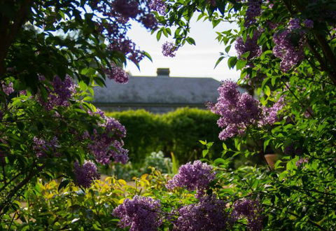 Eurambeen Historic Homestead And Gardens - New South Wales Tourism  1