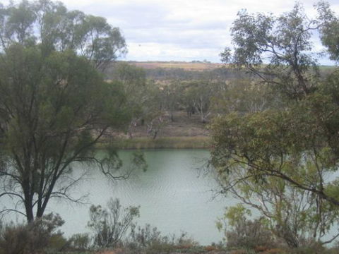 Gilgens Country River Retreat - New South Wales Tourism  3