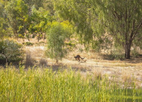 Girragirra Retreat - New South Wales Tourism  8