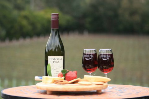 Gisborne Peak Winery  Cottages - New South Wales Tourism  5