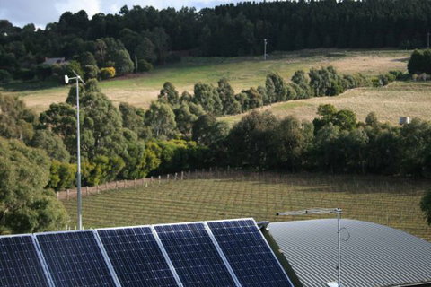 Gisborne Peak Winery  Cottages - New South Wales Tourism  7