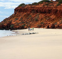 Herald Bight Camp at Francois Peron National Park - New South Wales Tourism 