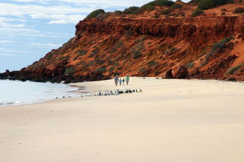 Herald Bight Camp At Francois Peron National Park - New South Wales Tourism  0