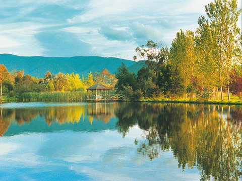 Kingbilli - New South Wales Tourism  0