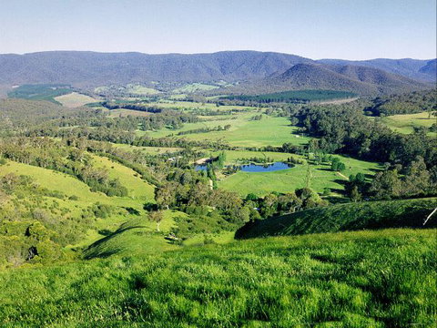Kingbilli - New South Wales Tourism  1
