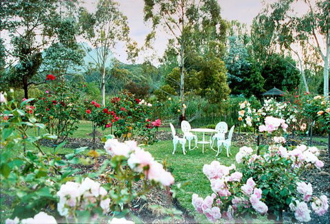 Kingbilli - New South Wales Tourism  2