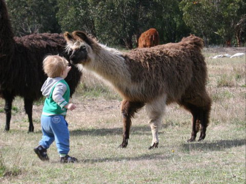 Kingbilli - New South Wales Tourism  6