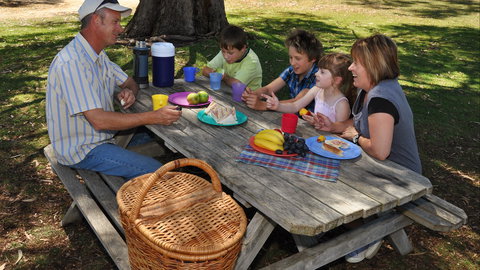 Naracoorte Caves Camping And Accomodation - New South Wales Tourism  3