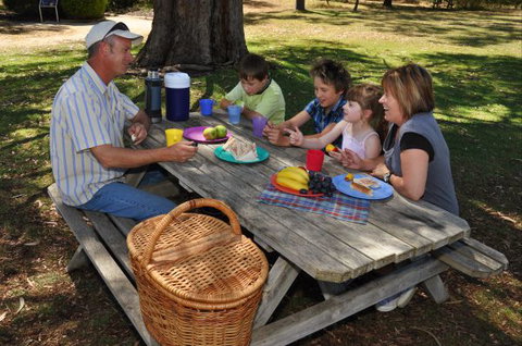 Naracoorte Caves Camping And Accomodation - New South Wales Tourism  0