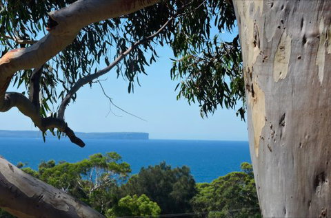 Seaglass - New South Wales Tourism  41