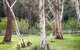 Fifth Avenue Guest House - thumb 2
