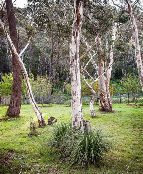 Fifth Avenue Guest House - New South Wales Tourism  2
