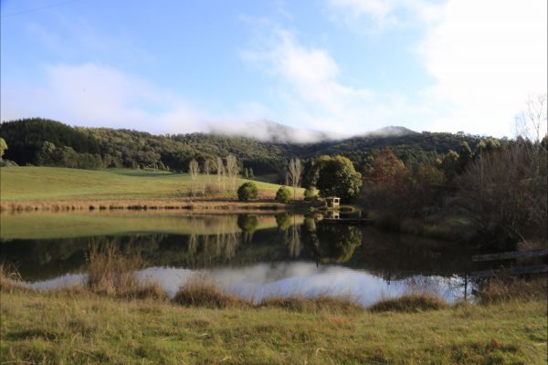 Jamieson VIC New South Wales Tourism 