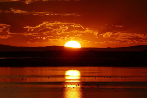 Mundoo Island Station - New South Wales Tourism  5