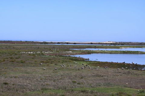 Mundoo Island Station - New South Wales Tourism  9