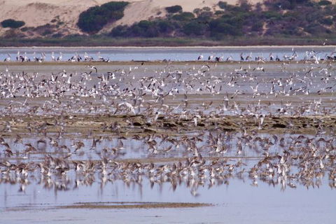 Mundoo Island Station - New South Wales Tourism  16