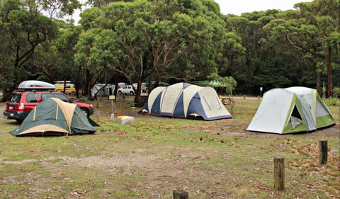 Pretty Beach Campground, Murramarang National Park - New South Wales Tourism  0