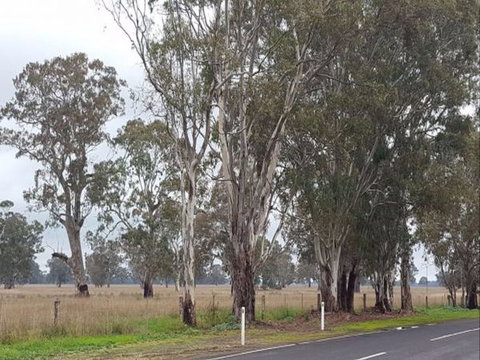 The Gums - New South Wales Tourism  8
