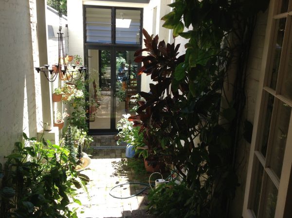 Paddington NSW New South Wales Tourism 