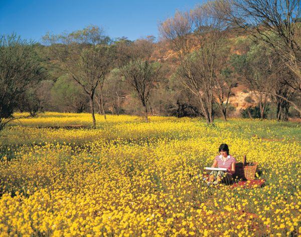 Wongoondy WA New South Wales Tourism 