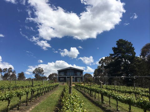 Mortimer's Accommodation Amongst The Vines - New South Wales Tourism  0