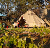 Grapevine Glamping - New South Wales Tourism 