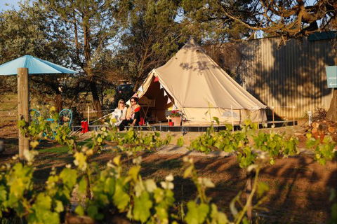 Grapevine Glamping - New South Wales Tourism  0