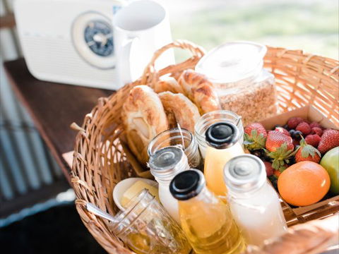 Grapevine Glamping - New South Wales Tourism  4
