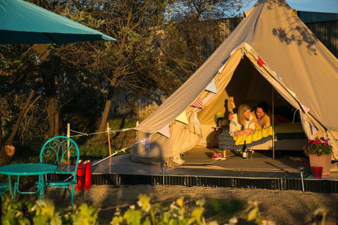 Grapevine Glamping - New South Wales Tourism  5