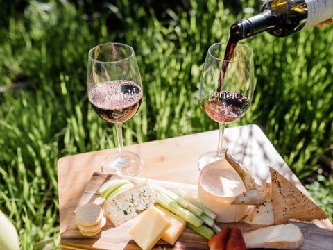 Grapevine Glamping - New South Wales Tourism  8