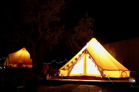 Grapevine Glamping - New South Wales Tourism  9